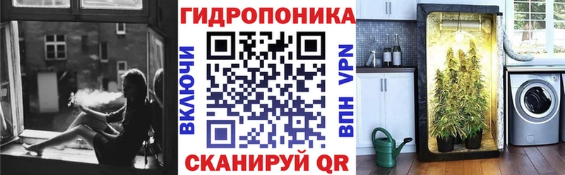 Конопля Amnesia  где купить наркотик  Абакан 