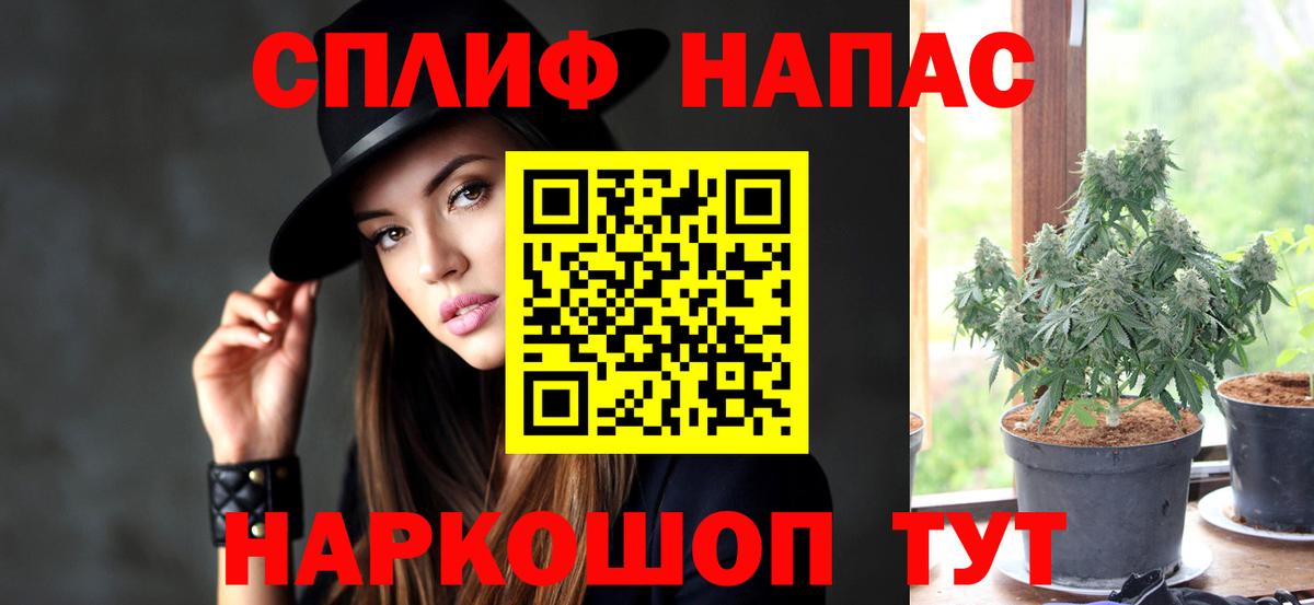 Марихуана план  Бошки Шишки семена  Канабис AK-47  Вход с VPN  Абакан 